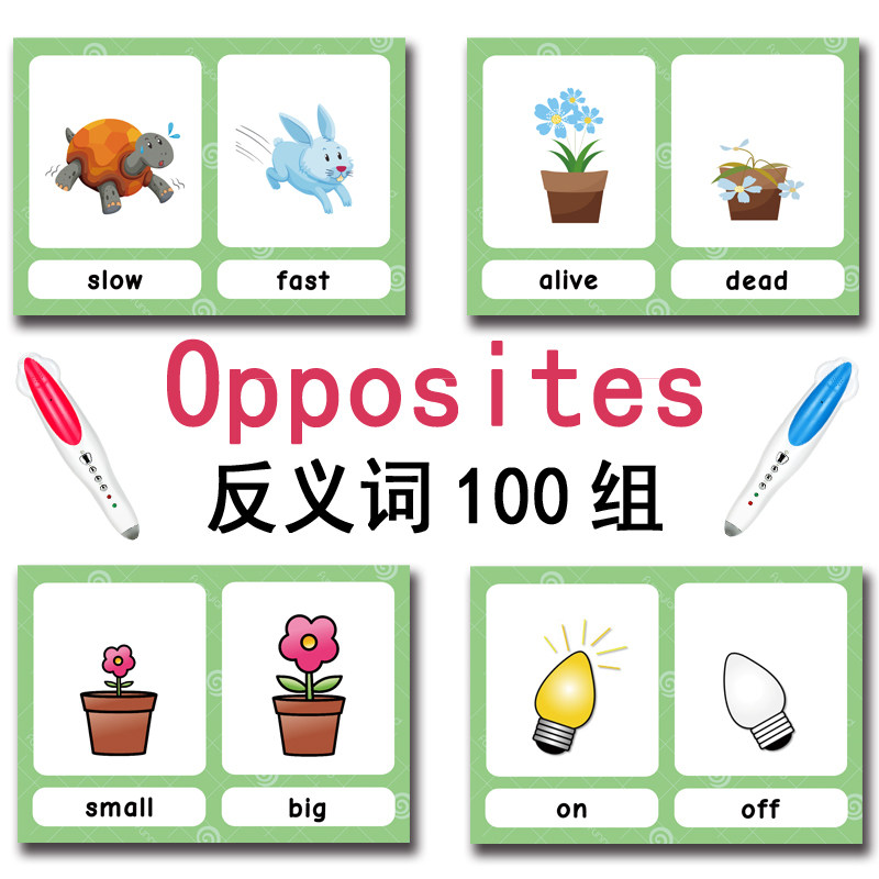 แฟลชการ์ดคำศัพท์ภาษาอังกฤษ 100 - Kids Home Education บทวิจารณ์และราคา